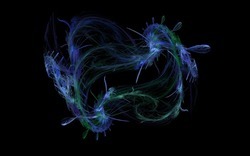 Apo7x-140322-4 r-black.jpg